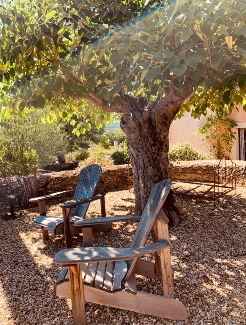 Bed and Breakfast Le Vieux Portail Saint-Saturnin-lès-Apt Zewnętrze zdjęcie